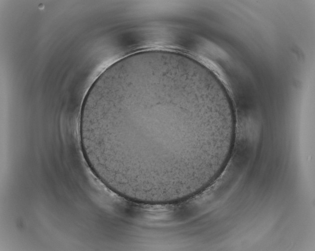 X0000111801338200908061150