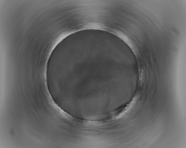 X0000111801339200908061150