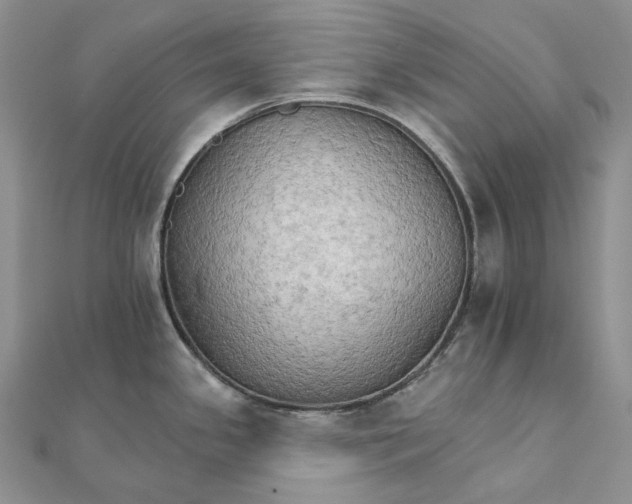 X0000111801341200908061150