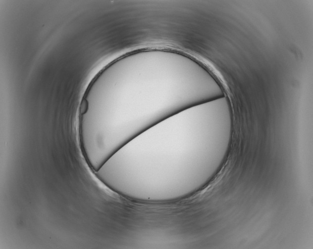 X0000111801343200908061150