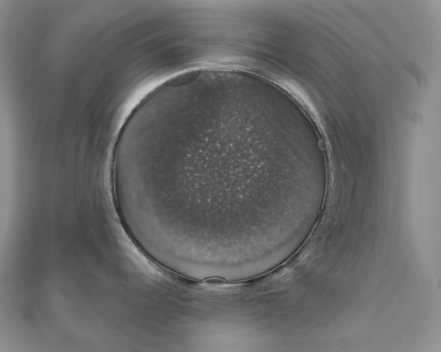 X0000111801344200908061150