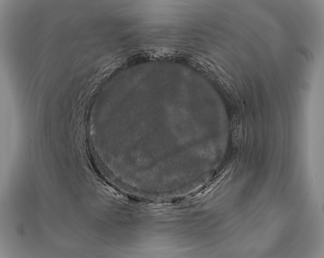 X0000111801345200908061149