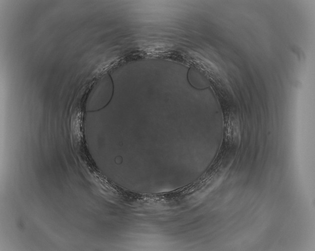 X0000111801346200908061149