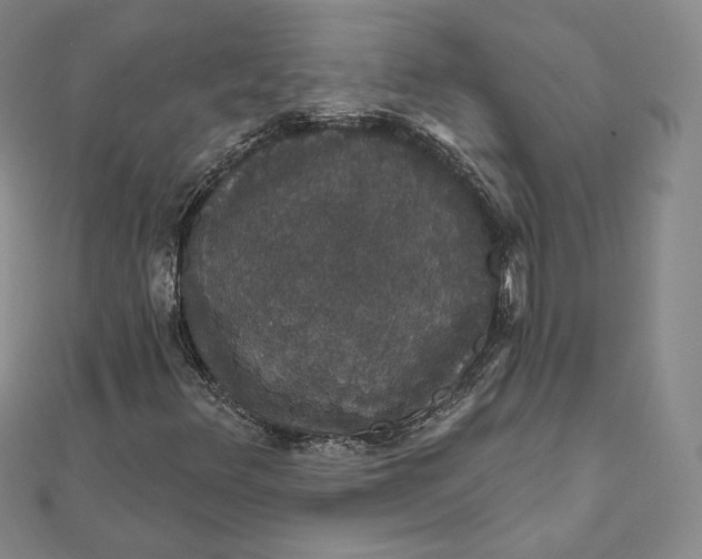 X0000111801348200908061149