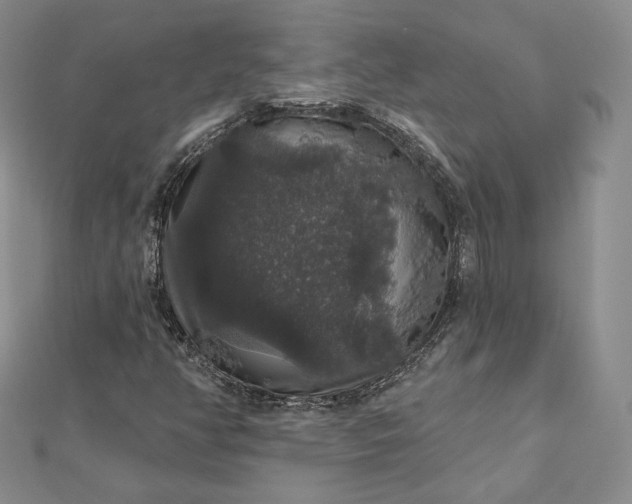 X0000111801350200908061149