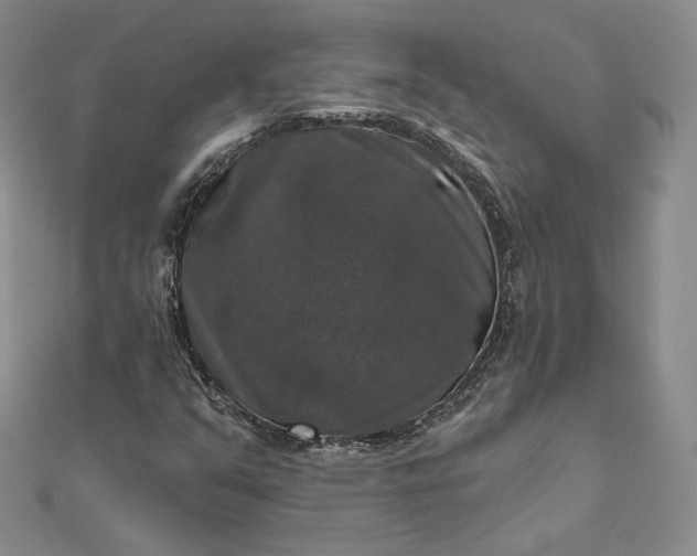 X0000111801351200908061149