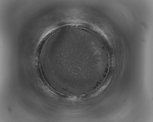 X0000111801352200908061149
