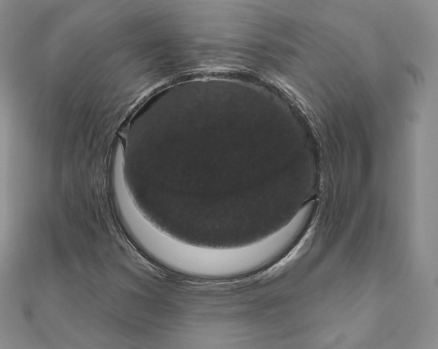 X0000111801353200908061149