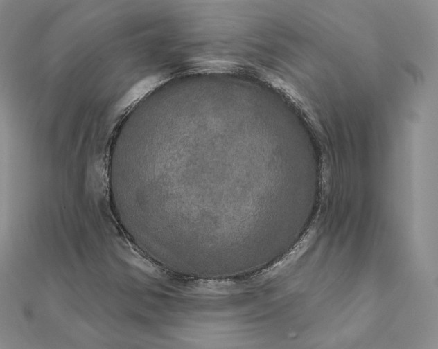 X0000111801354200908061149