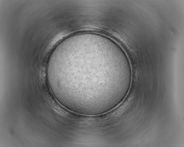 X0000111801355200908061149
