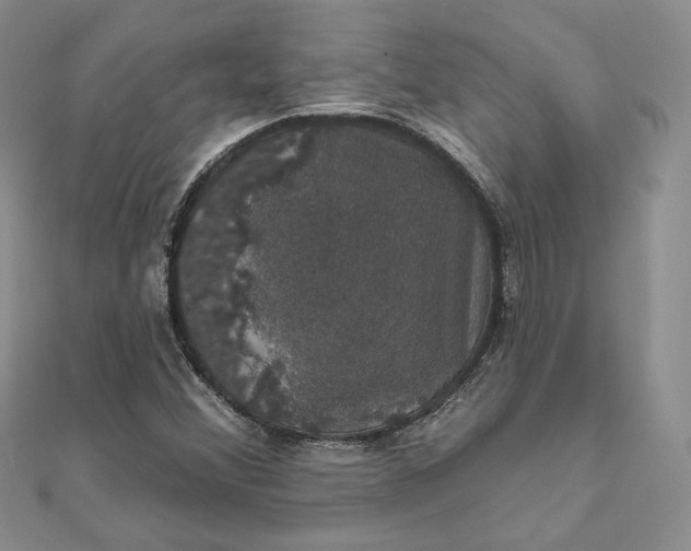 X0000111801356200908061149