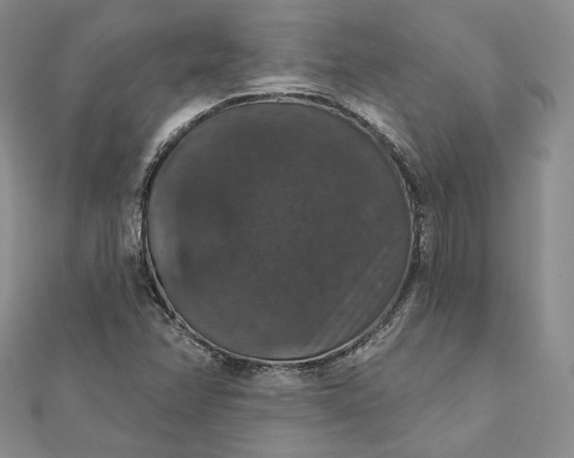 X0000111801358200908061149