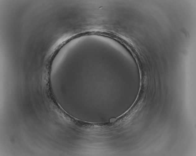 X0000111801359200908061149