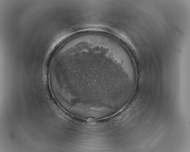 X0000111801360200908061149
