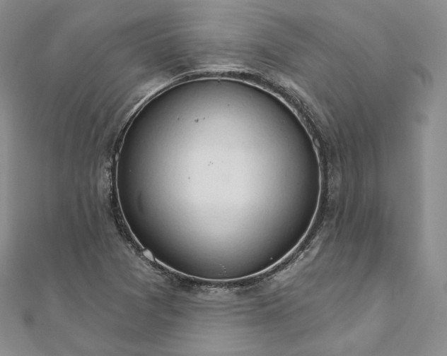 X0000111801361200908061149