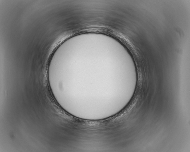 X0000111801362200908061149