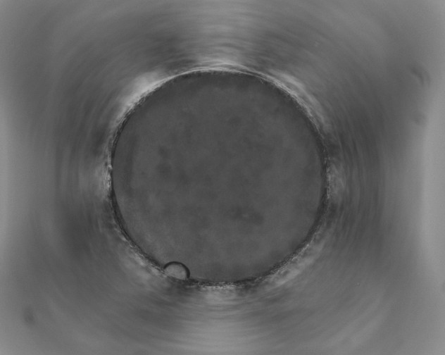 X0000111801363200908061149