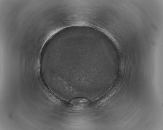X0000111801364200908061149