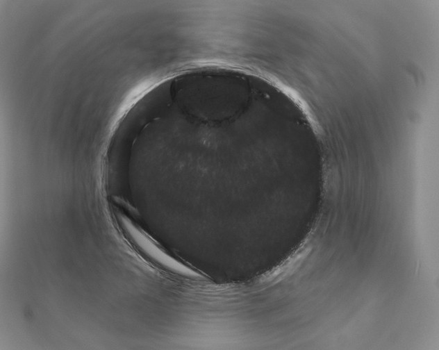 X0000111801365200908061149