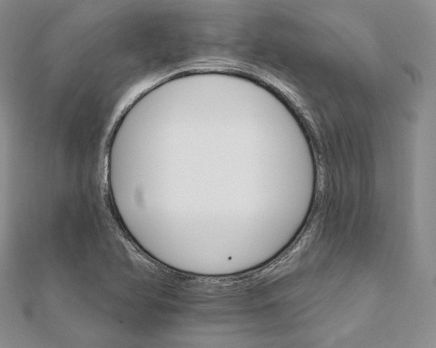 X0000111801366200908061149