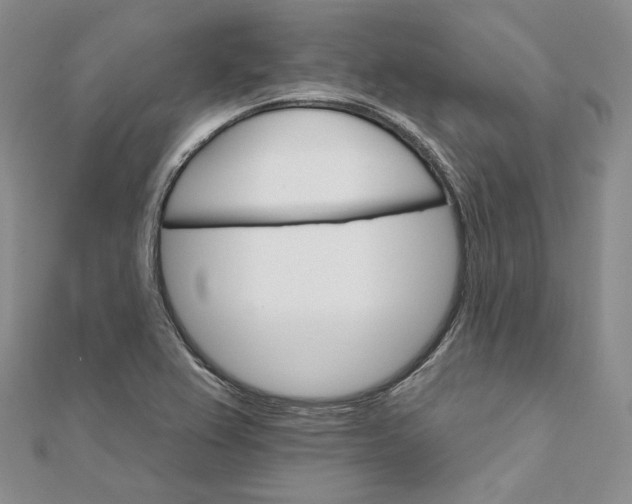 X0000111801367200908061149