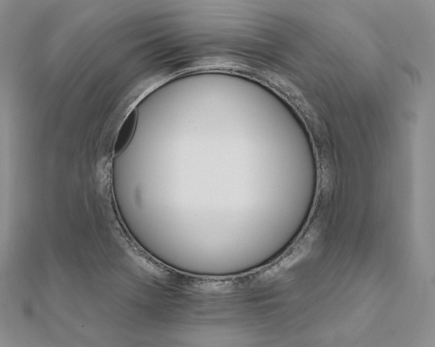 X0000111801369200908061149