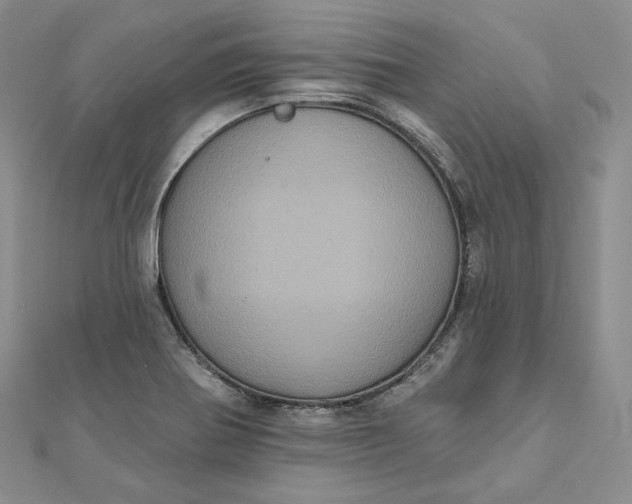 X0000111801370200908061149