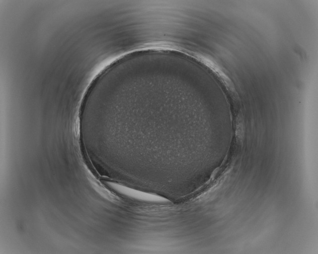 X0000111801372200908061149