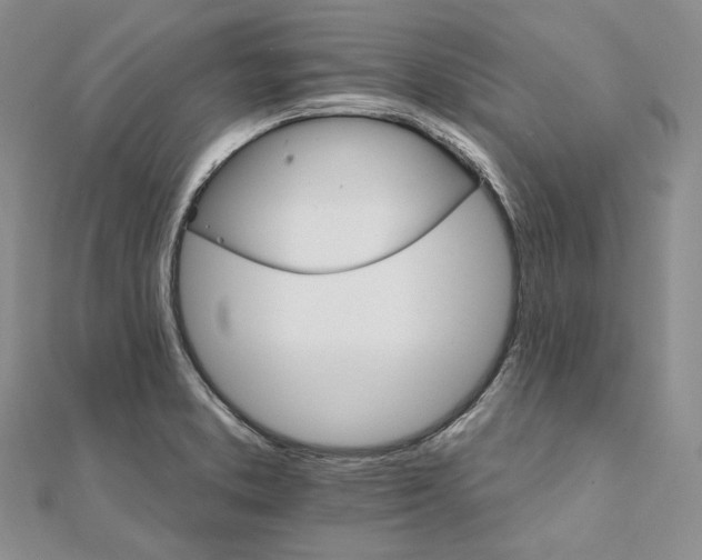X0000111801373200908061149
