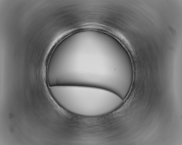 X0000111801376200908061149