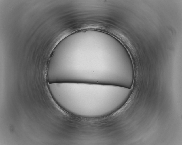 X0000111801377200908061149