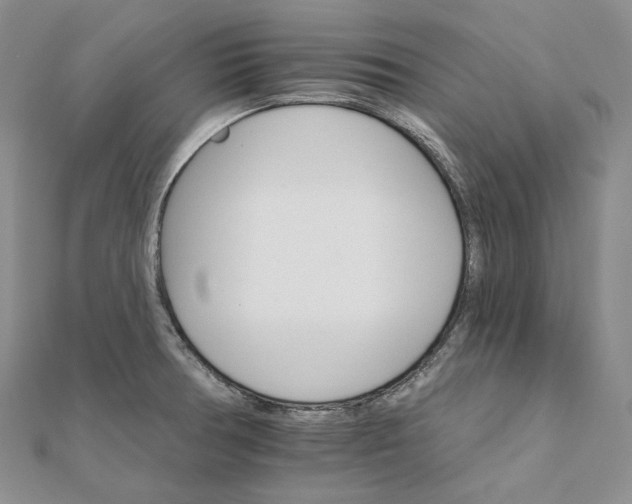 X0000111801378200908061149