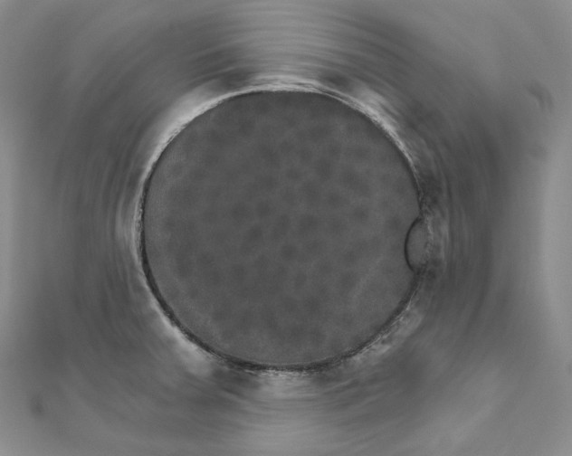 X0000111801379200908061149
