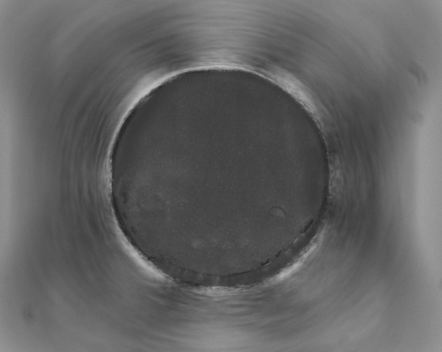 X0000111801380200908061149