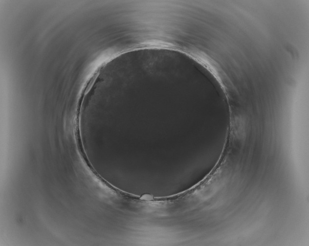 X0000111801381200908061149