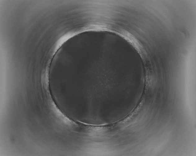 X0000111801382200908061149
