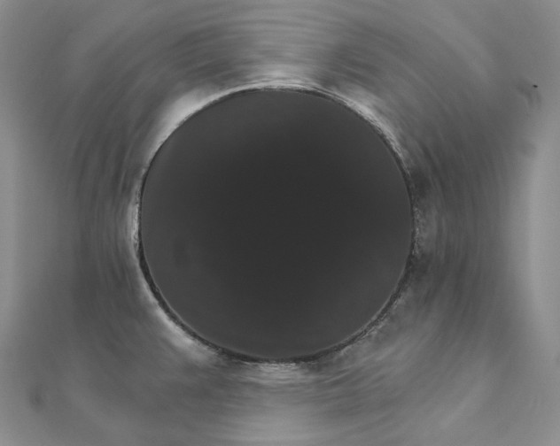 X0000111801383200908061149