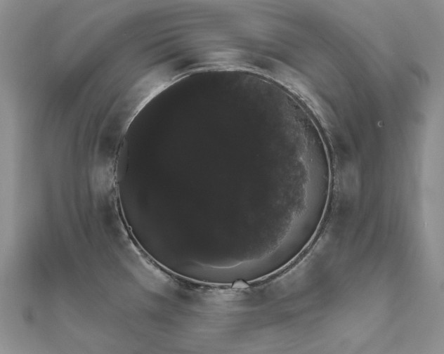 X0000111801385200908061149