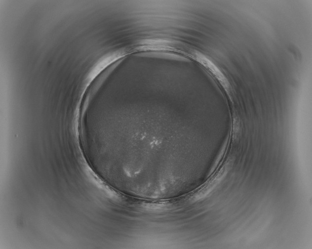 X0000111801386200908061149