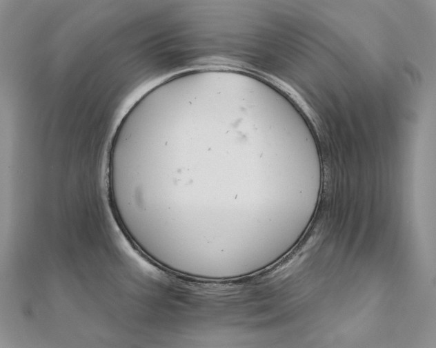 X0000111801387200908061149