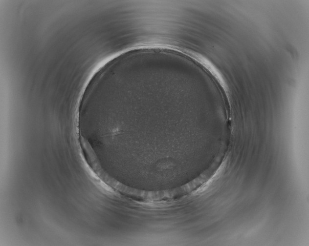 X0000111801388200908061149