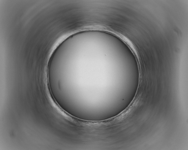 X0000111801389200908061149