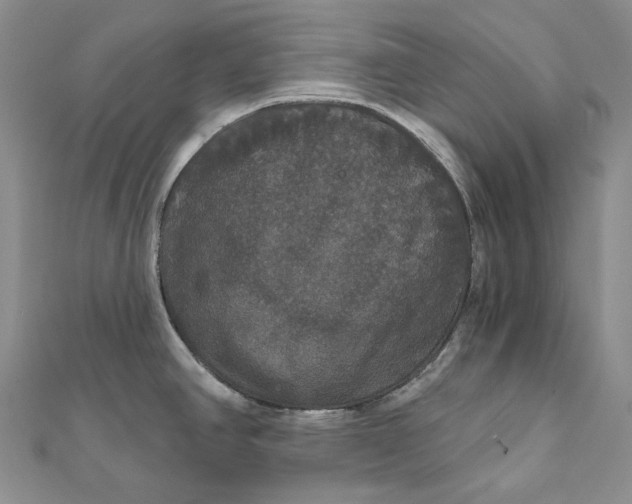 X0000111801390200908061149