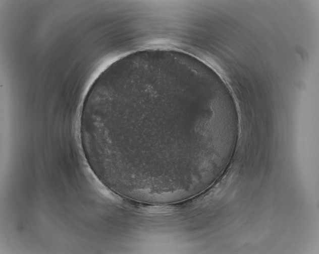 X0000111801392200908061149