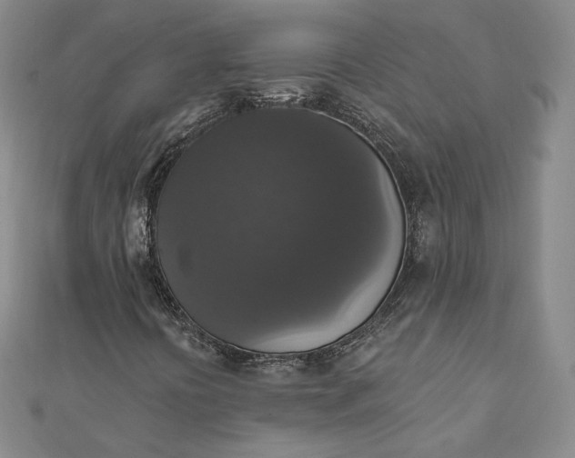 X0000111801394200908061148