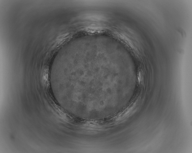 X0000111801396200908061148