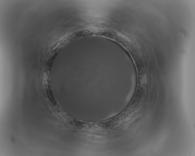 X0000111801397200908061148