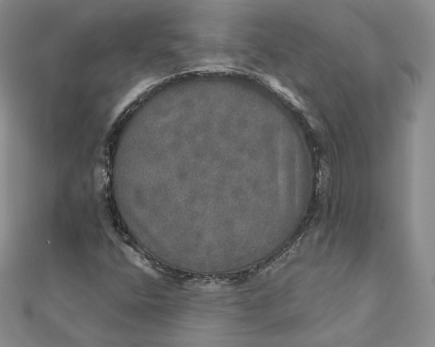 X0000111801400200908061148
