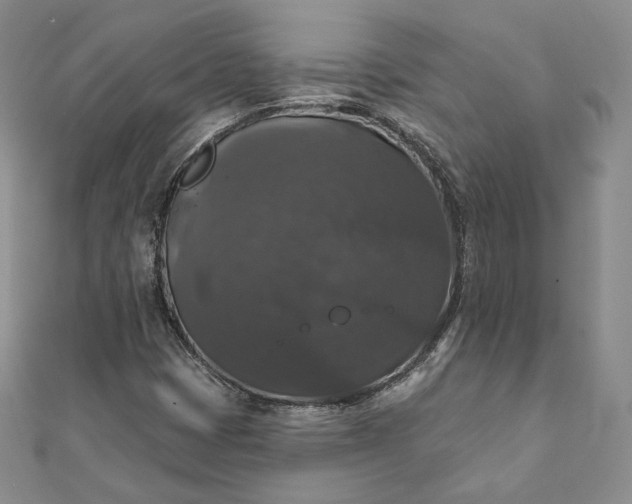 X0000111801401200908061148