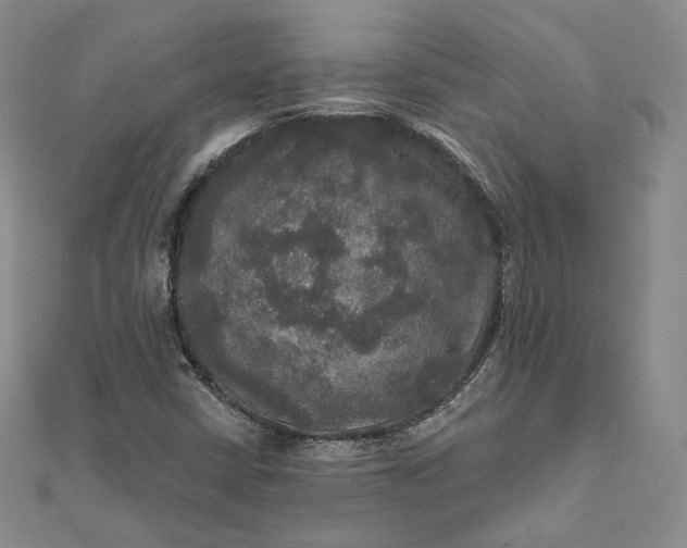 X0000111801402200908061148